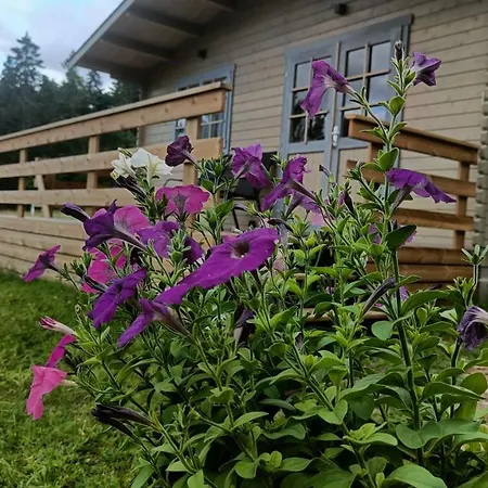 Rangi Suvemaja Apartment Hiiumaa