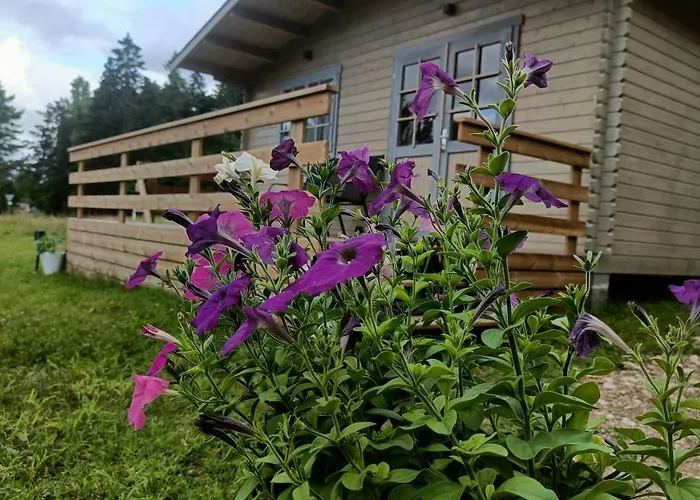 Rangi Suvemaja Lägenhet HIIUMAA